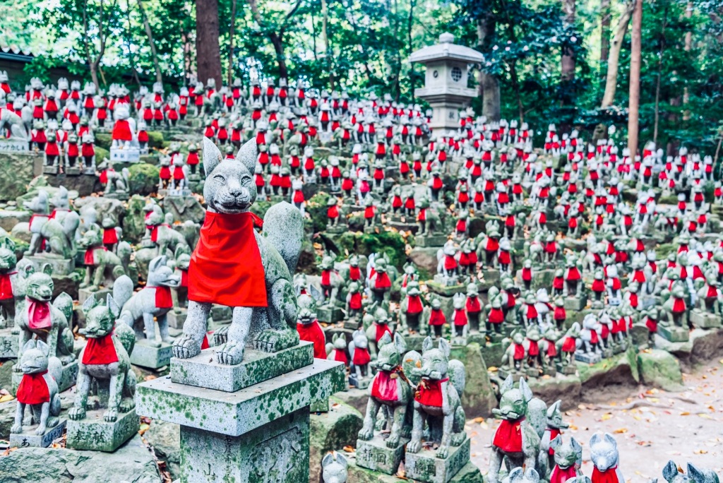 Into the Deep Forest